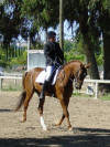 Le trotteur Darmeni en action sur le carr de dressage avec sa blonde cavalire.