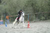 Brengre et son cheval espagnol font l'preuve de pole bending.