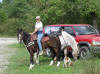 un cheval en selle western aprs un bon bain.