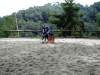 Le poney Prince excute le jeu du Lancier au centre equestre Hippo-Camps.