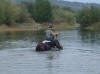 quand les curies dmnagent pour une journe de baignade....