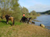 Les chevaux s'abreuvent une dernire fois avnt le retour au Van.